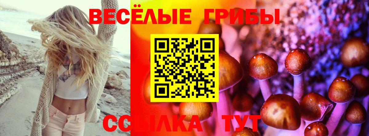Псилоцибиновые грибы ЛСД  Вход с VPN  Серпухов  Псилоцибиновые грибы Magic Shrooms 